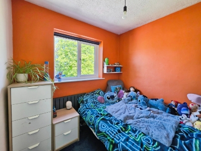 Picture 39